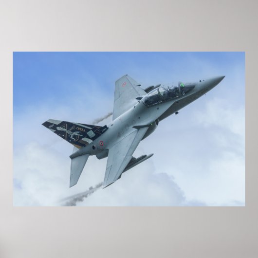 Poster CSX7352 F-2000A 36 Hommage du centenaire de Stormo (Devant)