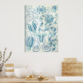 Poster Ctenophore (Cuisine)