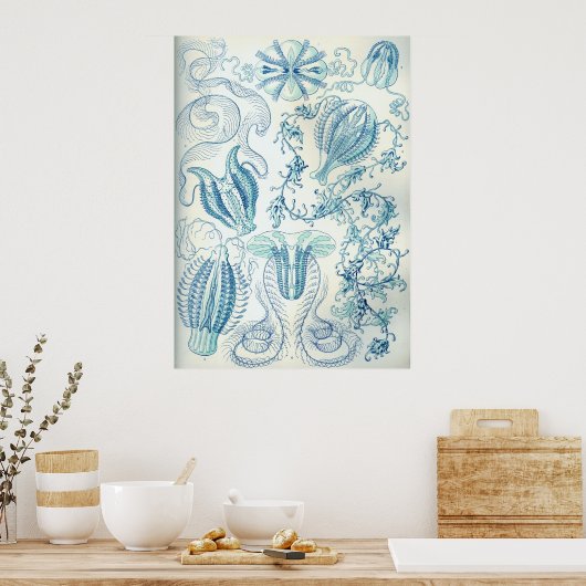 Poster Ctenophore (Cuisine)