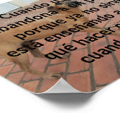 Poster cuando chassé abandona un perro (Coin)