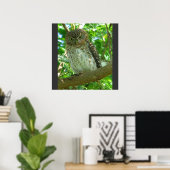 Poster Cubain Pygmée Chouette Animal Plumes Arbre Nature  (Bureau à domicile)