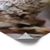 Poster Cuban tody  (Coin)