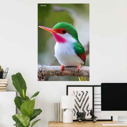 Poster Cuban tody  (Bureau à domicile)