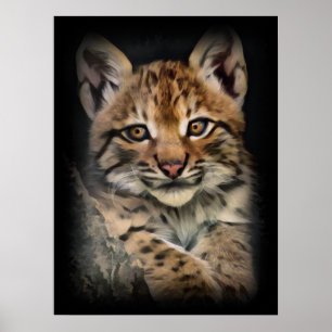 Poster Cube Lynx