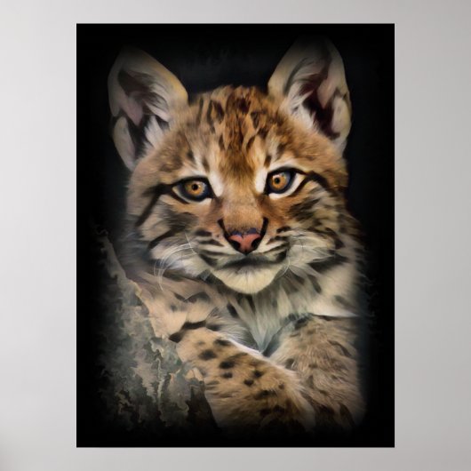 Poster Cube Lynx (Devant)