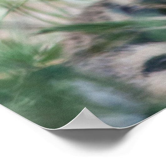 Poster Cubes de tigre (Coin)