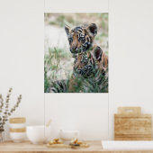 Poster Cubes de tigre (Cuisine)