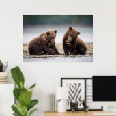 Poster Cubes d'ours Brown au ruisseau (Bureau à domicile)