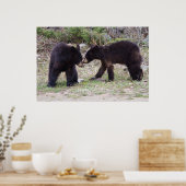 Poster Cubes d'ours noirs (Cuisine)