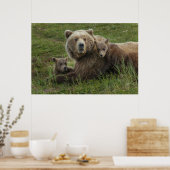 Poster Cubs d'ours Brown se léchant avec leur mère (Cuisine)