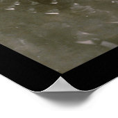 Poster Cubs Série Sox Photo 1906 (Coin)