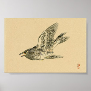 Poster Cuckoo (Art japonais) (par Kono Bairei)