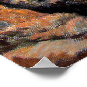 Poster Cuddin Chatons Calico et Tan (Coin)