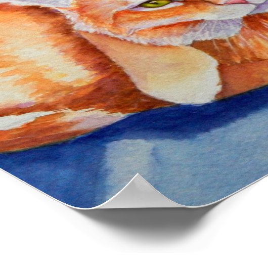 Poster Cuddin de Tabby Orange (Coin)