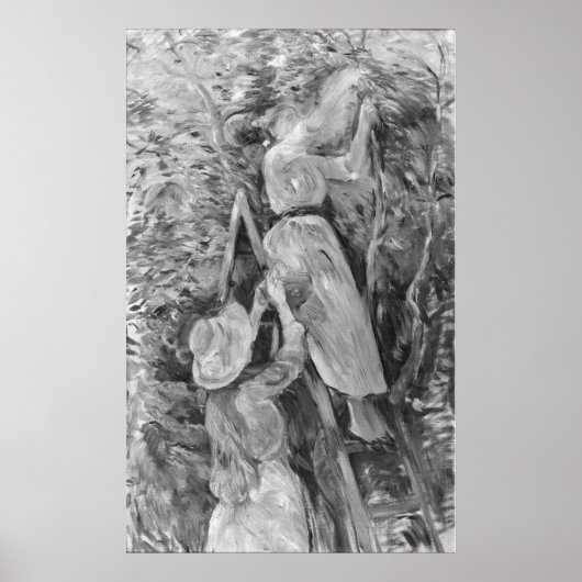 Poster cueillette de cerises, 1891 (Devant)