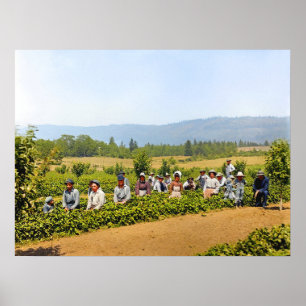 Poster Cueillette de fraises Hood River Valley Oregon ann