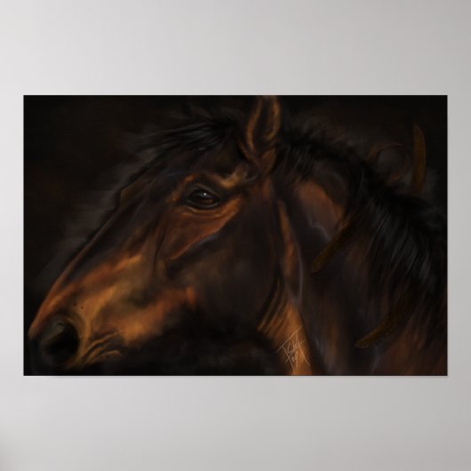 Poster Cuir (Devant)