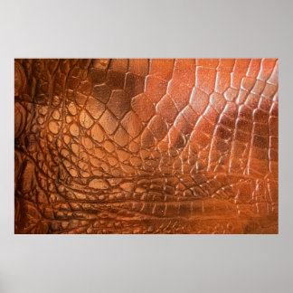 Poster Cuir Brown avec un motif sous forme d'écailles
