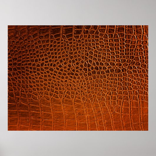 Poster Cuir de crocodile Brown (Devant)