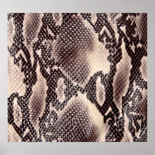 Poster Cuir serpent : texture brune transparente (Devant)