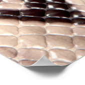 Poster Cuir serpent : texture brune transparente (Coin)