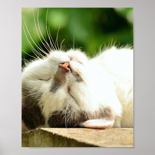 POSTER CUISINE DE NAPPING (Devant)