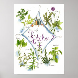 Poster Cuisine Herbe Jardin Aquarelle Basil