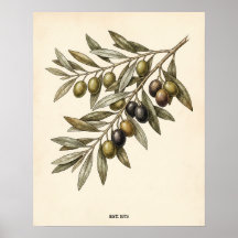 Cuisine personnalisée à l'ancienne avec branche d'