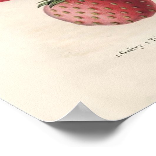 Poster Cuisine vintage (Coin)