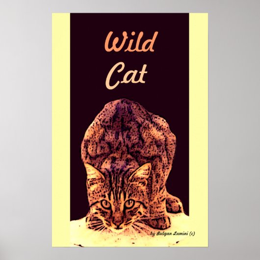 POSTER CUISINE WILD CAT (Devant)