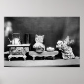 Poster Cuisines de lave-chatons - Harry Whittier Frees -  (Devant)