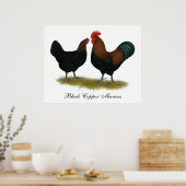 Poster Cuivre noir des Marans (Cuisine)