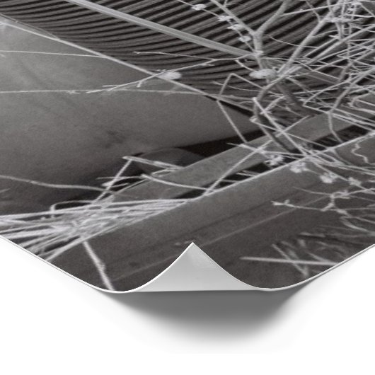 Poster cultivé (Coin)