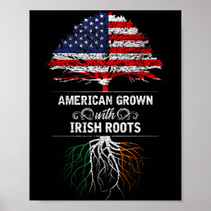 Poster Cultivé en Amérique avec des racines irlandaises 4
