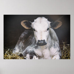 Poster Culture occupée de jour