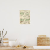 Poster Cultures, statistique US Lithographe (Cuisine)