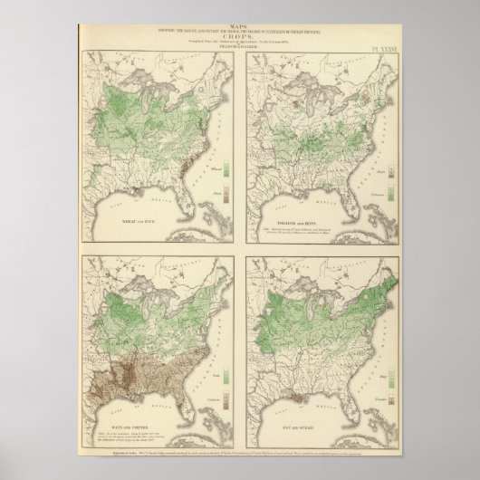 Poster Cultures, statistique US Lithographe (Devant)
