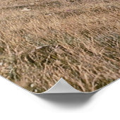 Poster Cumbres et Toltec Railroad, no 487 et no 484m, (Coin)