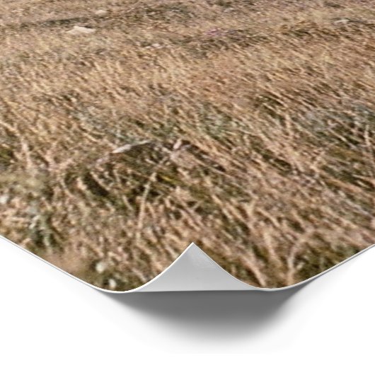 Poster Cumbres et Toltec Railroad, no 487 et no 484m, (Coin)