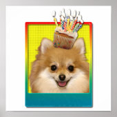 Poster Cupcake d'anniversaire - Pomeranian (Devant)