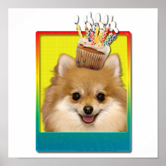 Poster Cupcake d'anniversaire - Pomeranian (Devant)