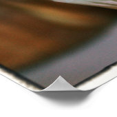 Poster Cupcakes colorés (Coin)