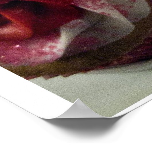 Poster Cupcakes de la Saint-Valentin (Coin)