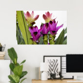 Poster Curcuma (Bureau à domicile)