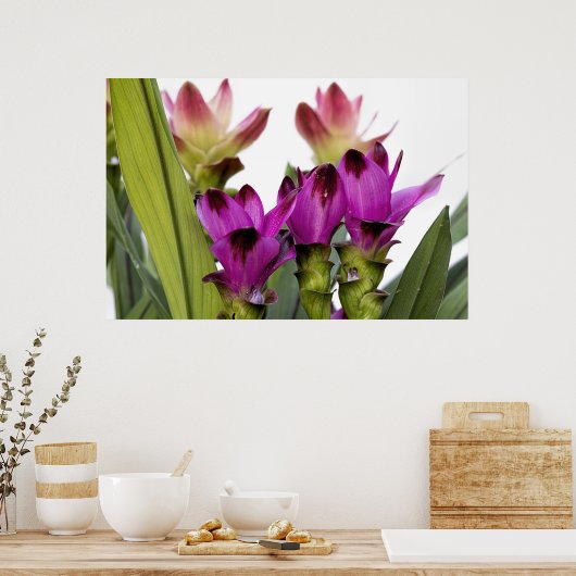 Poster Curcuma (Cuisine)
