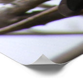 Poster Cure à tête cerise 1 (Coin)