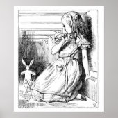 Poster Curieuse et curieuse ! (Devant)