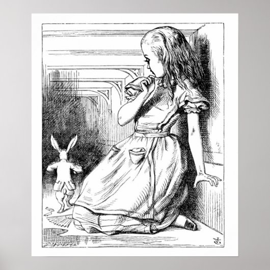 Poster Curieuse et curieuse ! (Devant)