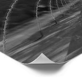 Poster Curieusement Serene (Coin)