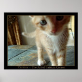 Poster Curieux (Devant)